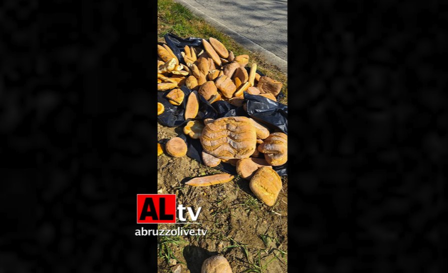 Cento chili di pane buttati nei campi a Fossacesia: fornaio di Lanciano si autodenuncia