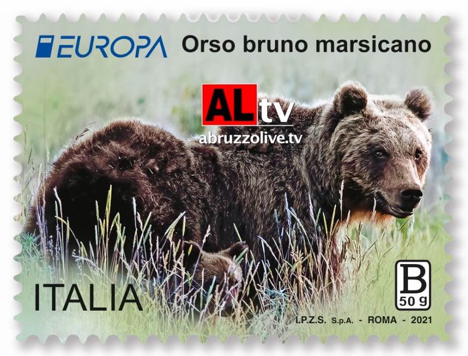 L'orso bruno marsicano in francobollo su specie a rischio estinzione