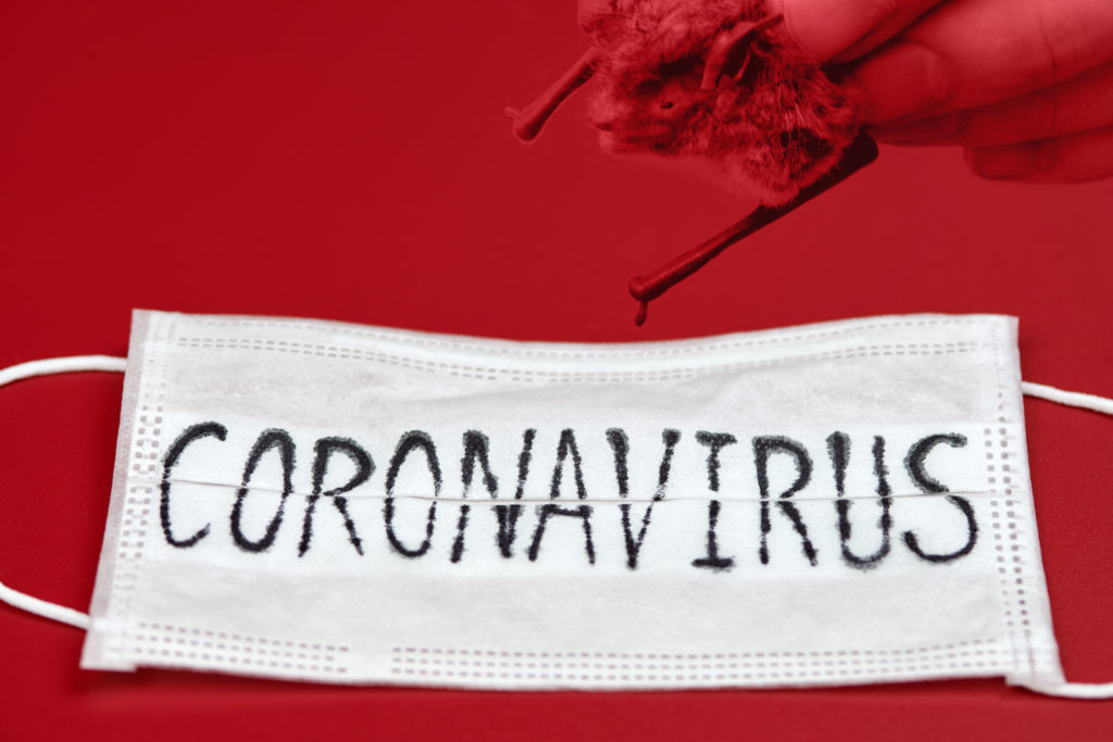 Coronavirus.  In Abruzzo contagi a iosa tra i migranti. La Regione parte con le denunce