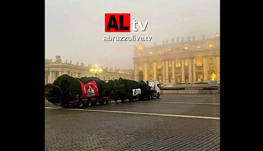 Natale. Giunto in Piazza San Pietro l'abete bianco donato dall'Abruzzo. Omaggio del Comune di Rosello
