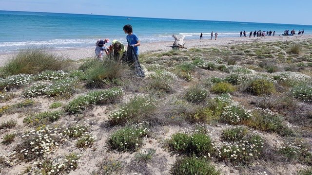 Casalbordino. Volontari ripuliscono la spiaggia da plastiche e vetro