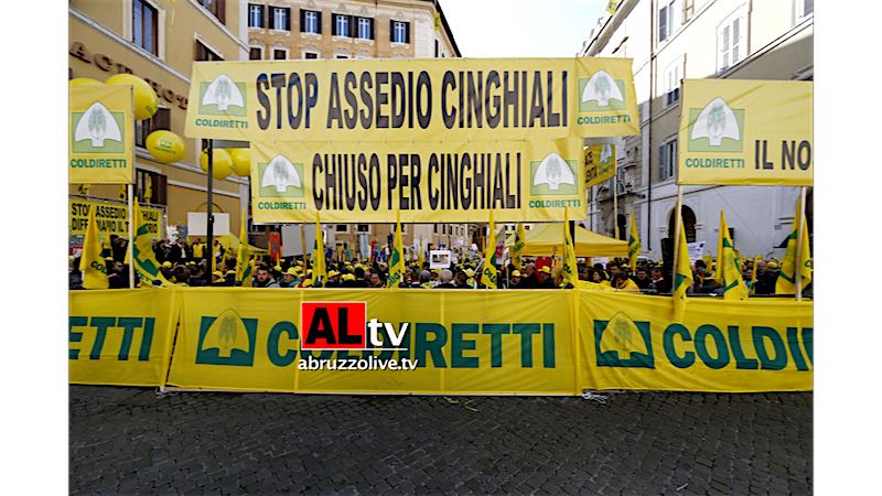 #Stopcinghiali. Coldiretti: 'Difendiamo il territorio'. A Roma sindaci e agricoltori d'Abruzzo