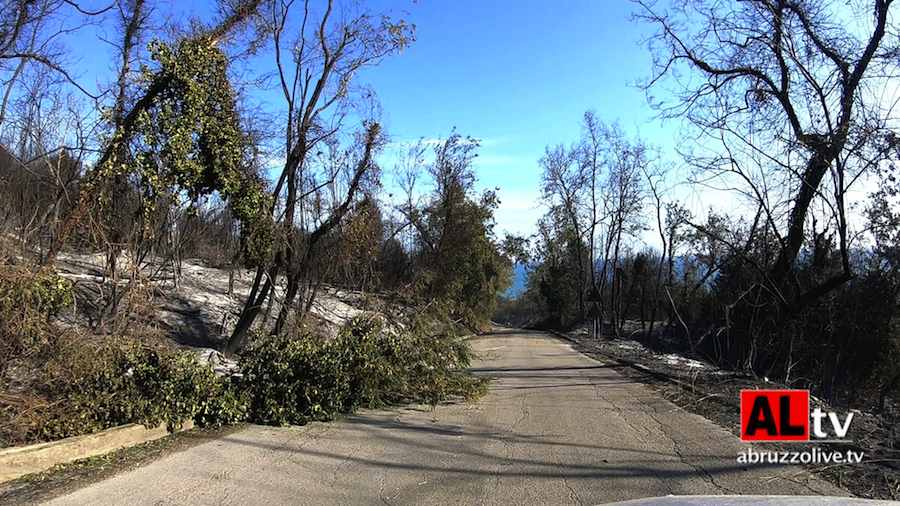 Val di Sangro. Bypassa auto incolonnate per incendi: denunciato 58enne di Lanciano che rischia di investire carabinieri