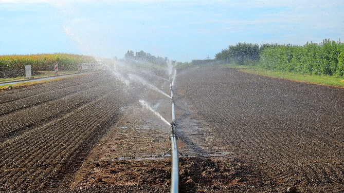 Fossacesia. 'Reti per irrigazione agricola obsolete. Intervenire con urgenza'