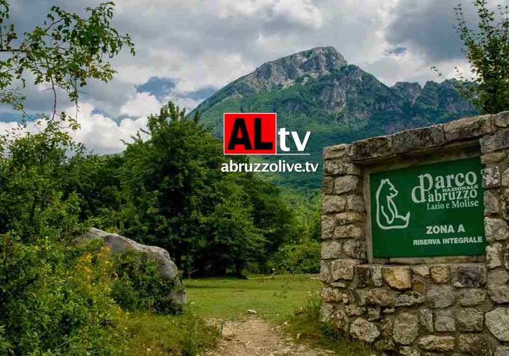 Inquinamento in parchi nazionali e riserve d'Abruzzo: controlli con internet