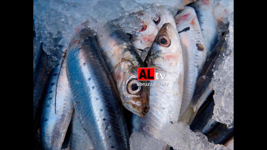 Alimentazione. 'Attenzione a conservazione pesce: rischio intossicazione da istamina': ricerca Zooprofilattico Abruzzo 